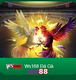 mn88